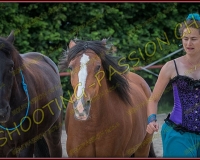 3-14juin384