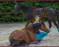 3-14juin404