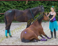 3-14juin406