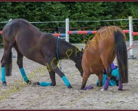 3-14juin416