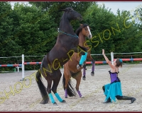 3-14juin418