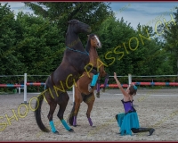 3-14juin422