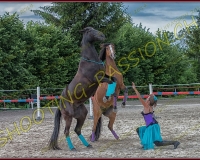 3-14juin425-Modifier