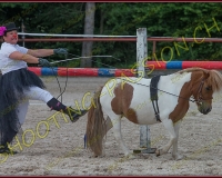 3-14juin457