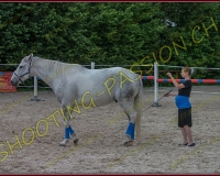 3-14juin496