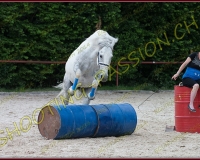 3-14juin534