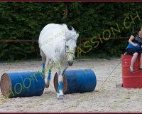 3-14juin538