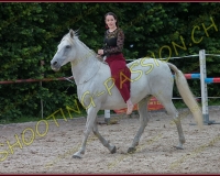 3-14juin554