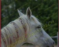 3-14juin568