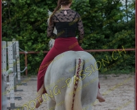 3-14juin575