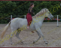 3-14juin590