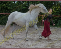 3-14juin611