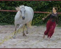 3-14juin614