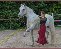 4-14juin006