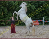 4-14juin015