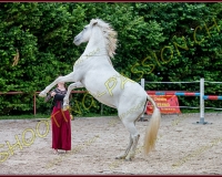 4-14juin018