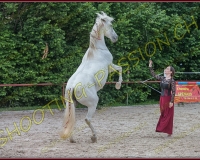 4-14juin021