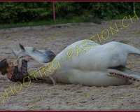 4-14juin032