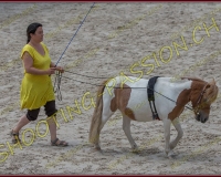 5-14juin002