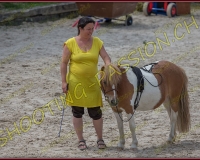 5-14juin005
