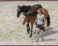 5-14juin032