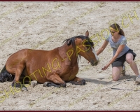 5-14juin036