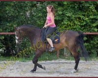 5-14juin060