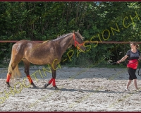5-14juin162