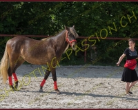 5-14juin164