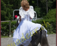 1YVOVAND056