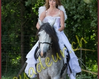 1YVOVAND091