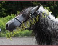 1YVOVAND094