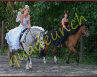 1YVOVAND095