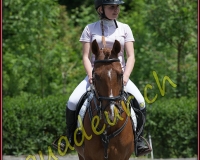 1YVOVAND103