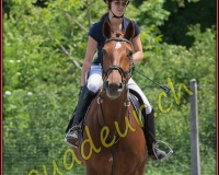 1YVOVAND113