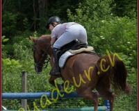 1YVOVAND129