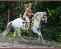 1YVOVAND162