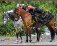 1YVOVAND236