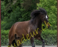 1YVOVAND246