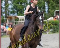 1YVOVAND284