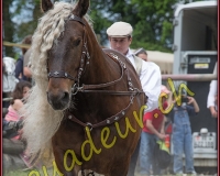 1YVOVAND330