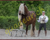 1YVOVAND347