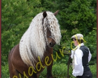 1YVOVAND362
