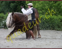 1YVOVAND376