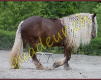 1YVOVAND378