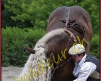 1YVOVAND382