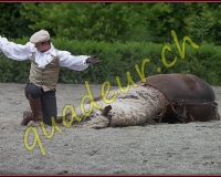 1YVOVAND389
