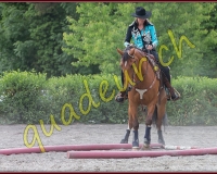1YVOVAND538