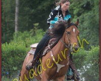 1YVOVAND554