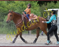 1YVOVAND577